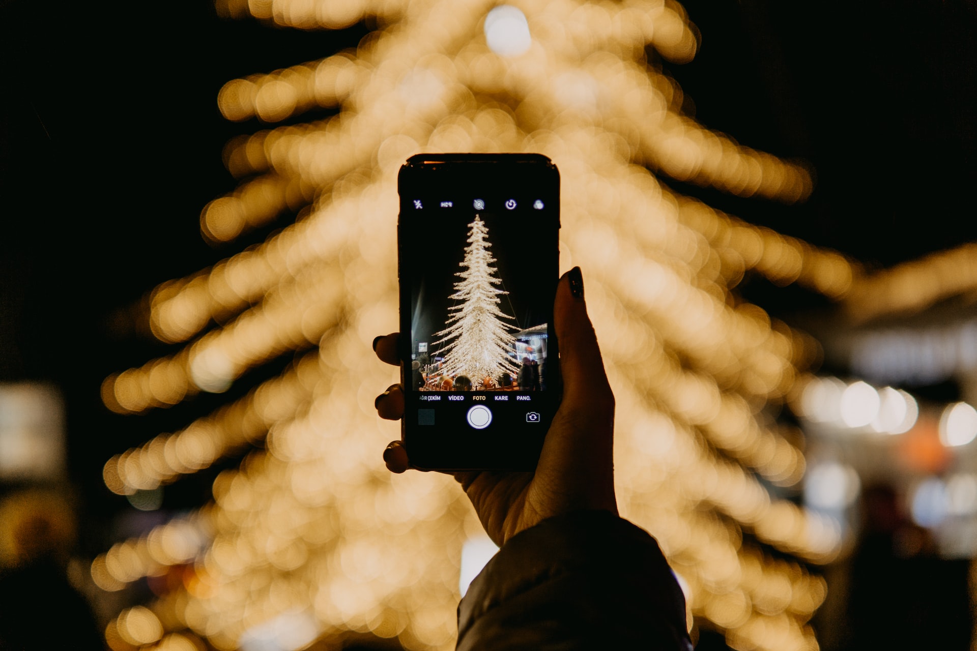 Cosa fare a Natale a Rimini e dintorni